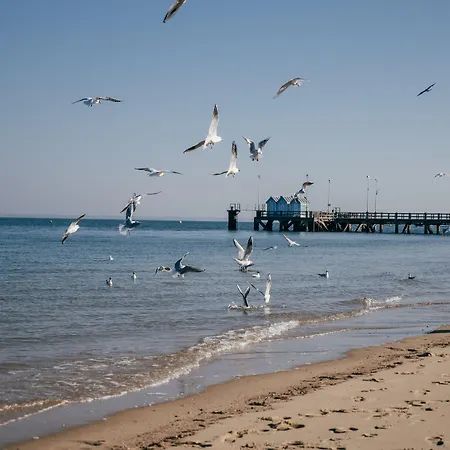Le B D'arcachon By Inwood 4*